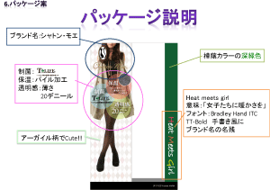 発表資料