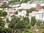 University of Auckland