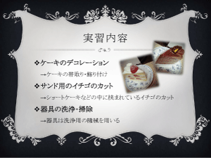発表資料