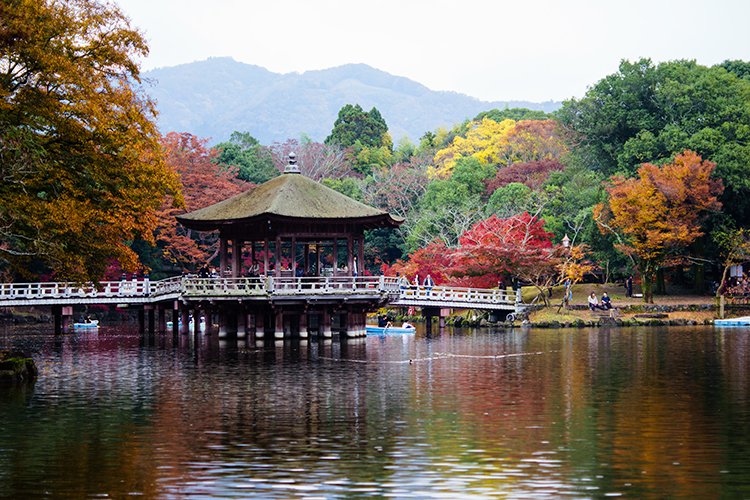 奈良公園浮見堂