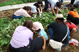 画像④DSC_0094.jpg