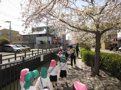 お花見散歩に行ってきたよ🌸