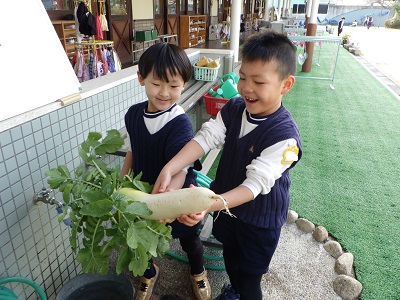 おいしい野菜を収穫しました！