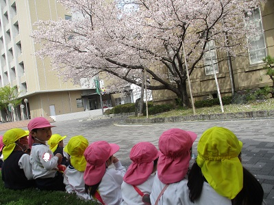 🌸お花見散歩🌸