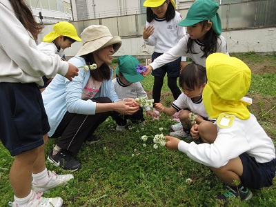 年長組　畑に行ったよ♪