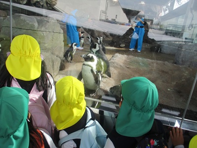 お別れ遠足（年長）🐬✨