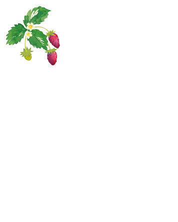 飾りアイコン